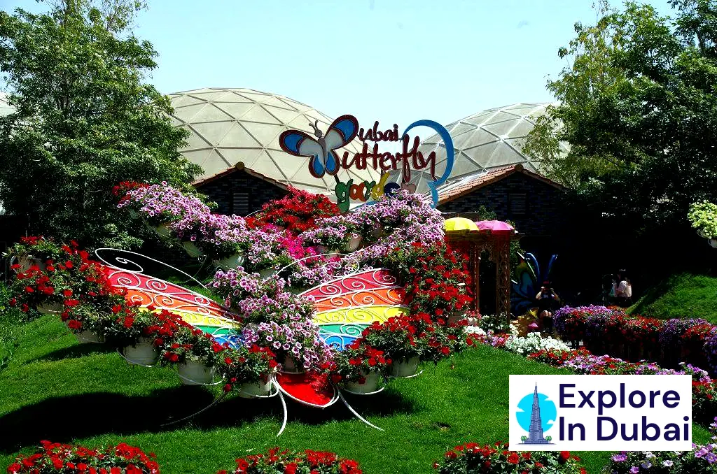 Dubai Butterfly Garden-With Pretty Butterflies