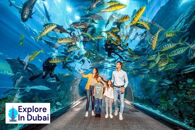 Dubai Aquarium-World's Largest Underwater Zoo