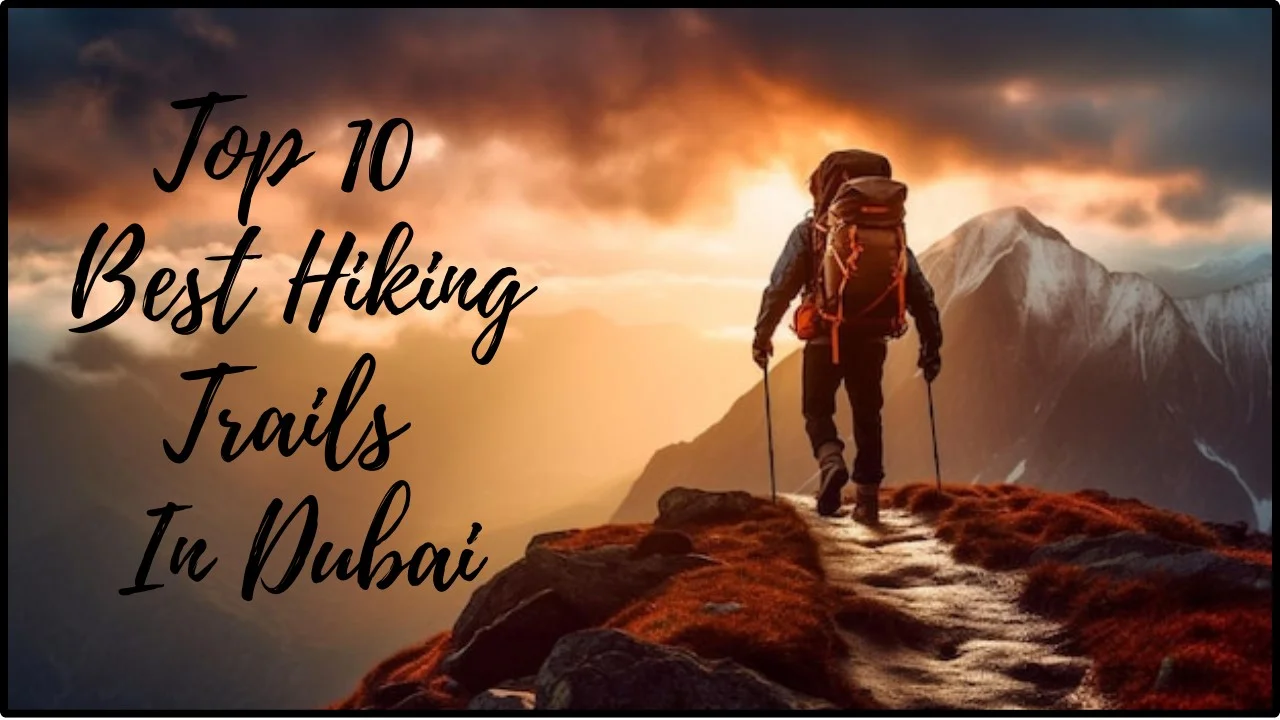 10 Best Hiking Trails In Dubai you must Visit 2024